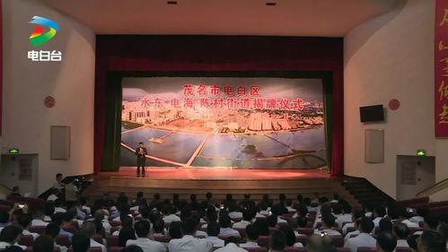 电白陈村新闻最新爆料,揭秘陈村最新发展动态与重大事件  第1张